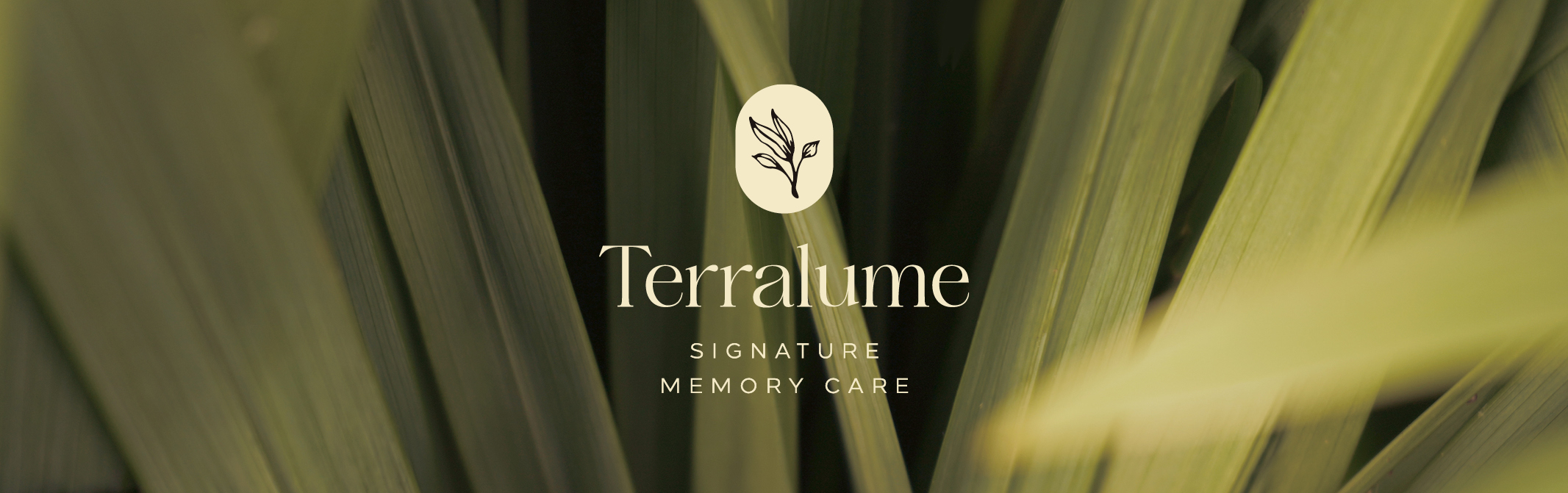 Terralume memory care