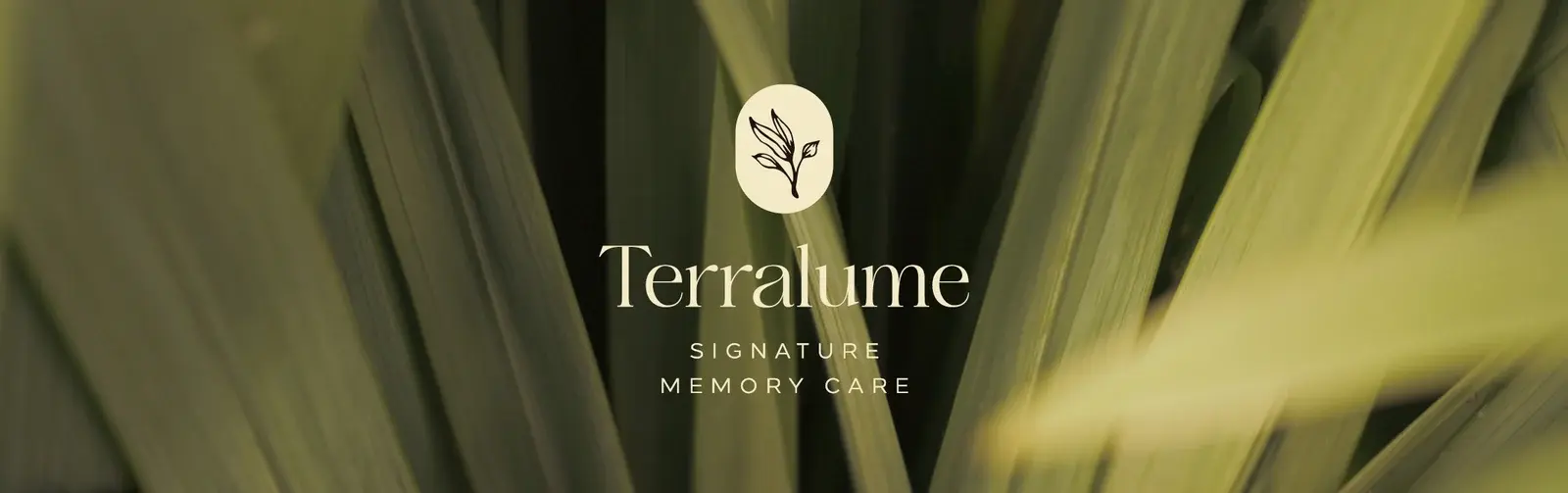 Terralume memory care